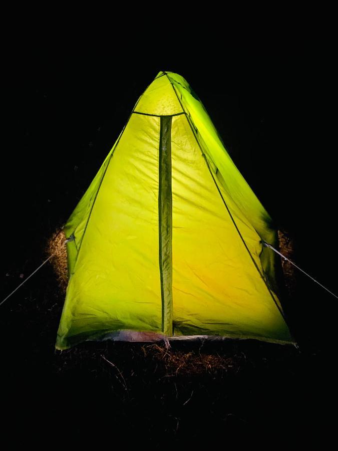 A Pousada Dreamwoods A Travellers Farm Dharamshala Exterior foto
