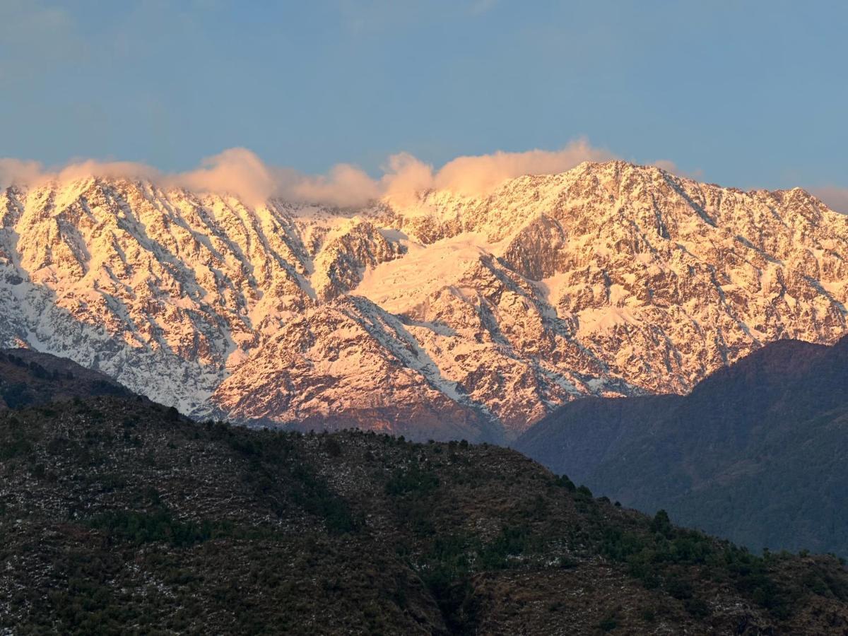 A Pousada Dreamwoods A Travellers Farm Dharamshala Exterior foto