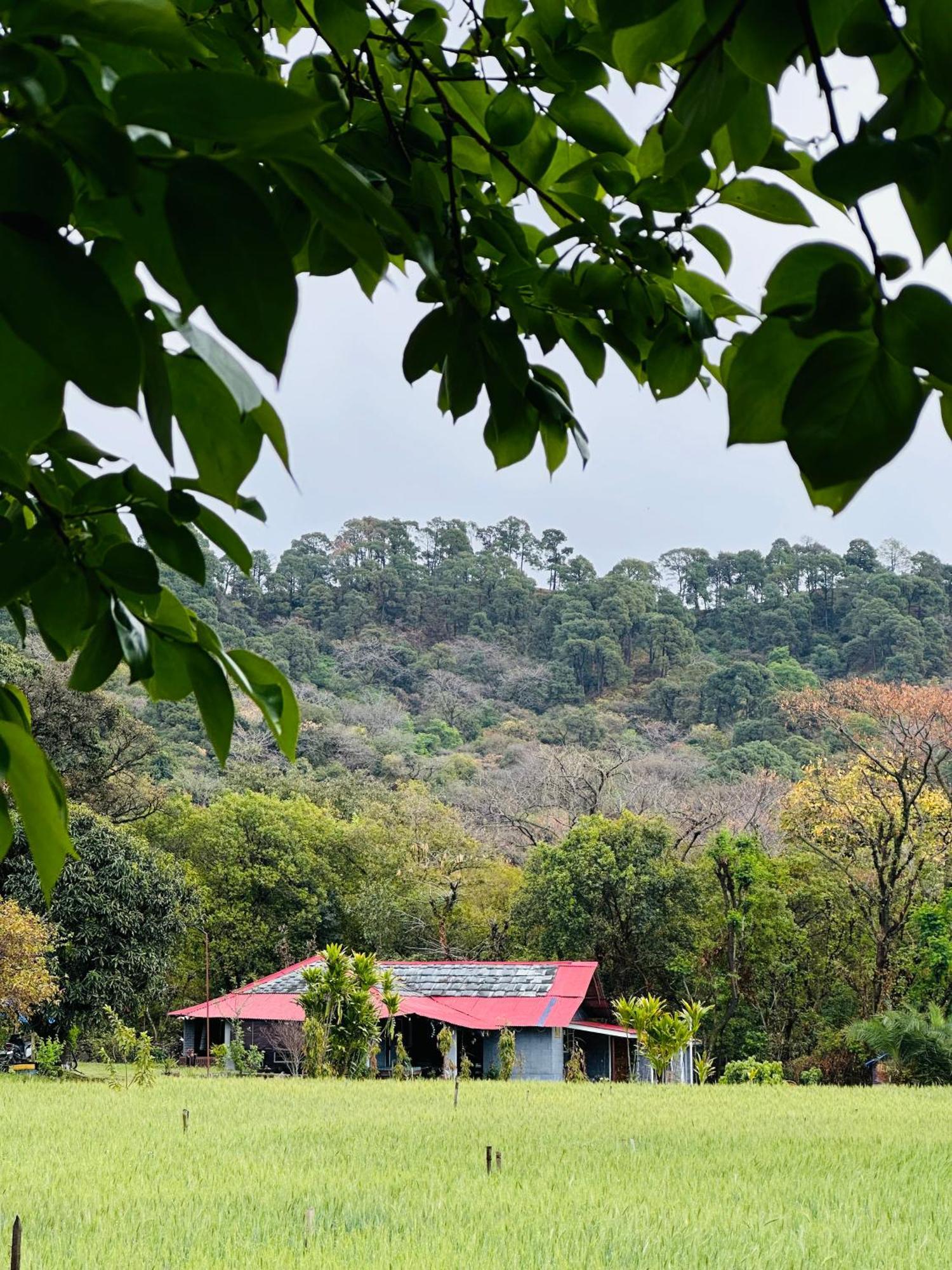 A Pousada Dreamwoods A Travellers Farm Dharamshala Exterior foto