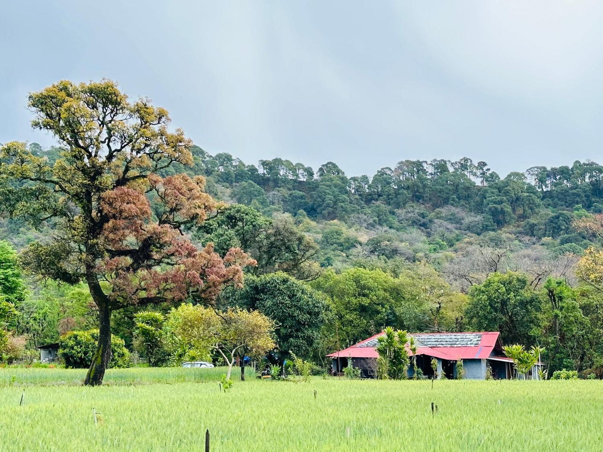 A Pousada Dreamwoods A Travellers Farm Dharamshala Exterior foto